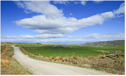 Disability rental vehicles, New Zealand